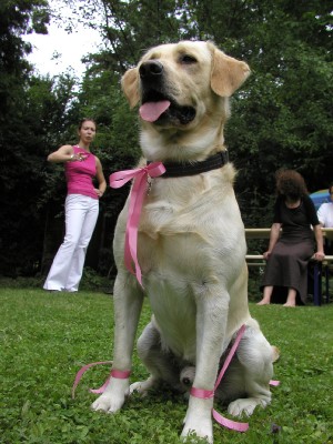 bilder/best_ 062.jpg
